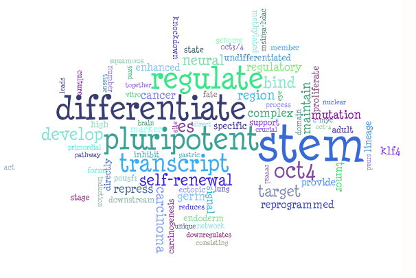 wordcloud